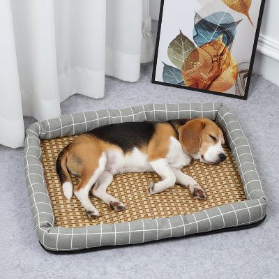 Tapis rafraichissant chien - Tapis Chien rafraichissant - Arctik | Fraîcheur pure - Vivre avec son chien