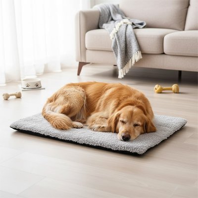 Tapis pour chien - Tapis Chien - Thermo - Confort | Auto - Chauffant - Vivre avec son chien