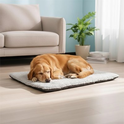 Tapis pour chien - Tapis Chien - Thermo - Confort | Auto - Chauffant - Vivre avec son chien