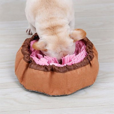 Tapis interactif - Tapis de fouille chien - Intelligence Canine | Fouille - Vivre avec son chien