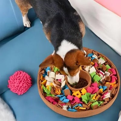 Tapis interactif - Tapis de fouille chien - Interactif Exploration | Flair - Vivre avec son chien