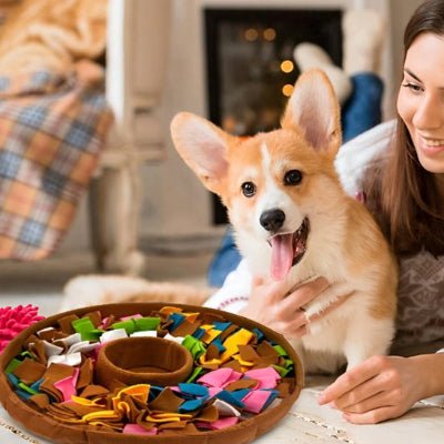 Tapis interactif - Tapis de fouille chien - Interactif Exploration | Flair - Vivre avec son chien