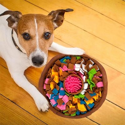Tapis interactif - Tapis de fouille chien - Interactif Exploration | Flair - Vivre avec son chien