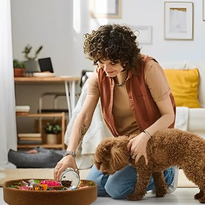 Tapis interactif - Tapis de fouille chien - Interactif Exploration | Flair - Vivre avec son chien