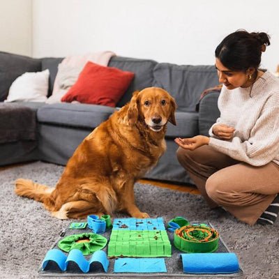 Tapis de fouille - Tapis de fouille chien - Renif | Jeux Interactif - Vivre avec son chien