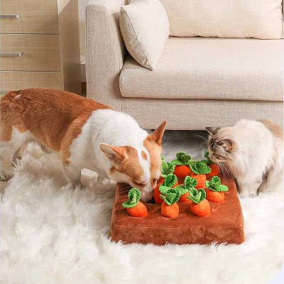 Tapis de fouille pour chien – DogPlushCarrots™ - Vivre avec son chien
