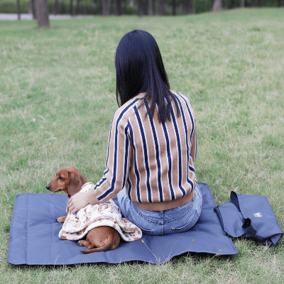 tapis chien - Tapis de sol chien - Ultra Confort | Imperméable - Vivre avec son chien