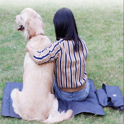 tapis chien - Tapis de sol chien - Ultra Confort | Imperméable - Vivre avec son chien