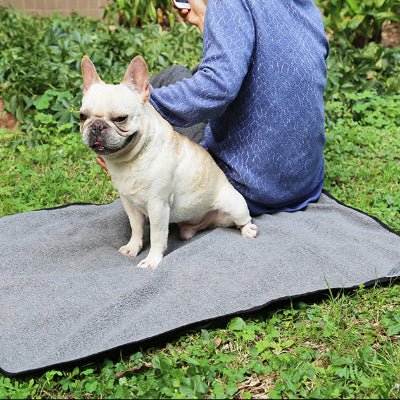 tapis chien - Tapis de sol chien - Ultra Confort | Imperméable - Vivre avec son chien