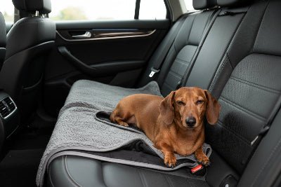 tapis chien - Tapis de sol pour chien - PetComfort | Imperméable - Vivre avec son chien
