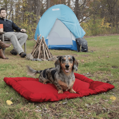 Tapis pour chien - Tapis de voyage pour chien - Nomade | Compact - Vivre avec son chien