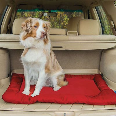 Tapis pour chien - Tapis de voyage pour chien - Nomade | Compact - Vivre avec son chien