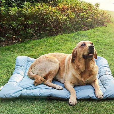 Tapis pour chien - Tapis de voyage pour chien - Nomade | Compact - Vivre avec son chien