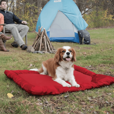 Tapis pour chien - Tapis de voyage pour chien - Nomade | Compact - Vivre avec son chien