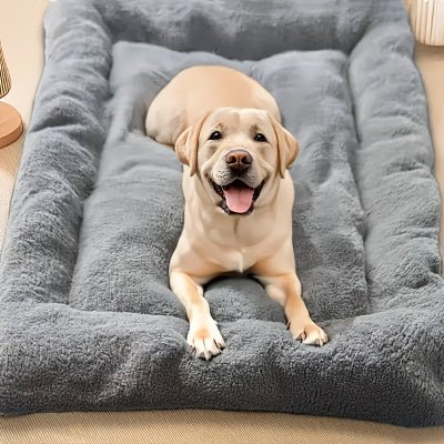 tapis chien - Tapis pour chien - Ciel étoilé | Multi - Usages - Vivre avec son chien
