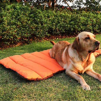 Tapis pour chien - Tapis pour chien - ComfortPlus | Matelas pliable imperméable - Vivre avec son chien