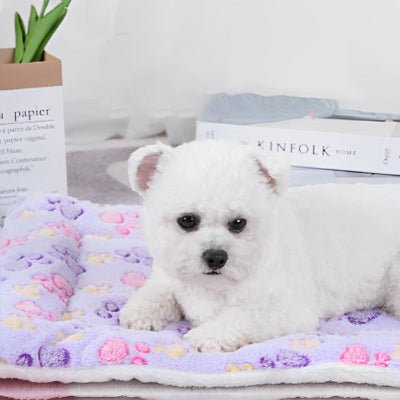 tapis chien - Tapis pour chien - Confort | Douceur lavable - Vivre avec son chien