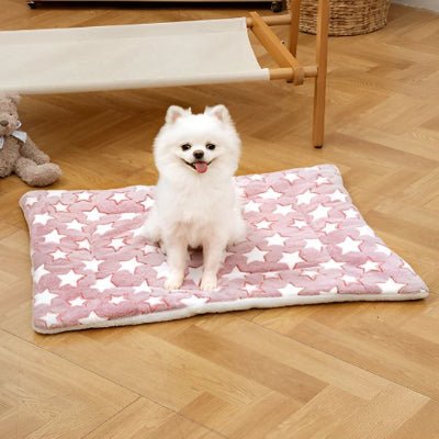 tapis chien - Tapis pour chien - Confort | Douceur lavable - Vivre avec son chien