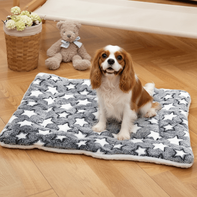 tapis chien - Tapis pour chien - Confort | Douceur lavable - Vivre avec son chien