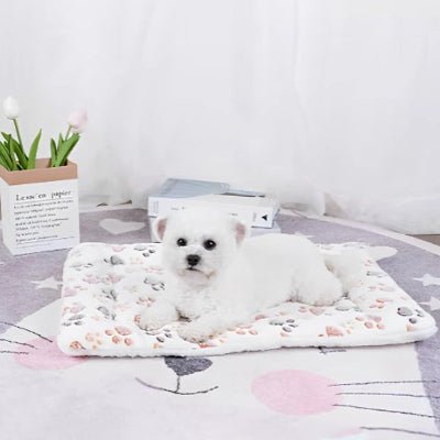 tapis chien - Tapis pour chien - Confort | Douceur lavable - Vivre avec son chien