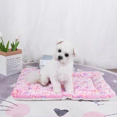 tapis chien - Tapis pour chien - Confort | Douceur lavable - Vivre avec son chien