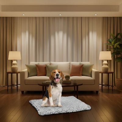 tapis chien - Tapis pour chien - Doux Confort | Peluche antidérapante - Vivre avec son chien