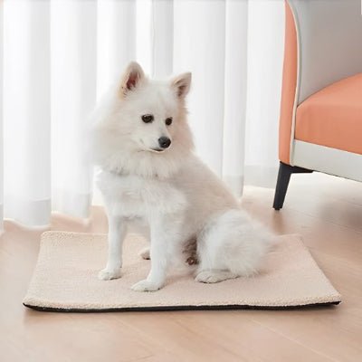 tapis chien - Tapis pour chien - Doux Confort | Peluche antidérapante - Vivre avec son chien