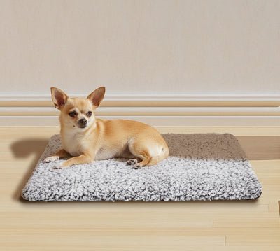 tapis chien - Tapis pour chien - Doux Confort | Peluche antidérapante - Vivre avec son chien