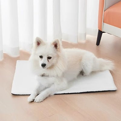 tapis chien - Tapis pour chien - Doux Confort | Peluche antidérapante - Vivre avec son chien