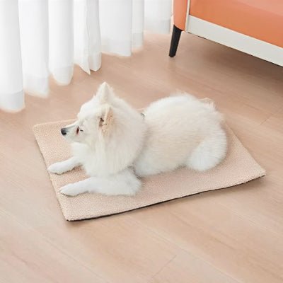 tapis chien - Tapis pour chien - Doux Confort | Peluche antidérapante - Vivre avec son chien