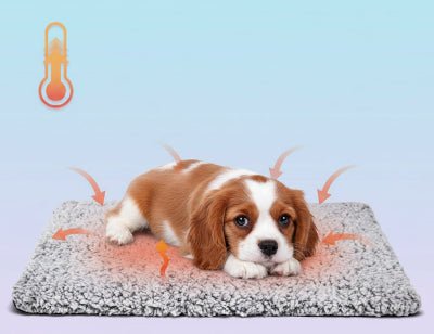 tapis chien - Tapis pour chien - Doux Confort | Peluche antidérapante - Vivre avec son chien