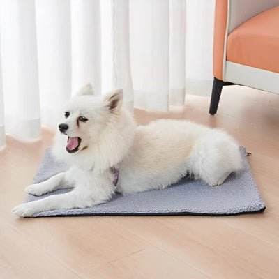 tapis chien - Tapis pour chien - Doux Confort | Peluche antidérapante - Vivre avec son chien
