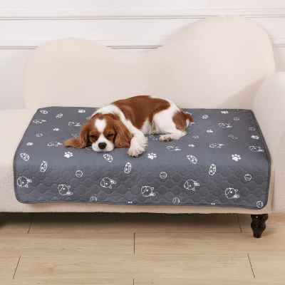 tapis chien - Tapis pour chien - DuraPro | Confortable et lavable - Vivre avec son chien