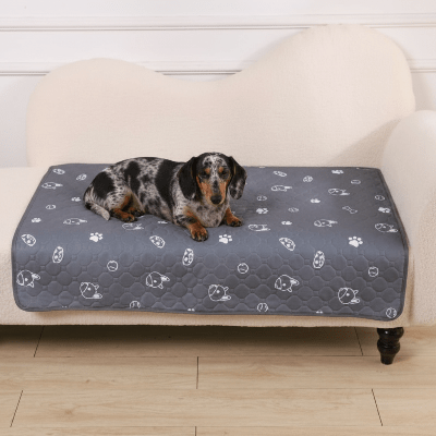 tapis chien - Tapis pour chien - DuraPro | Confortable et lavable - Vivre avec son chien