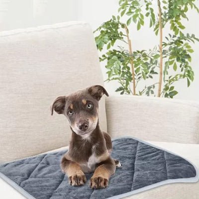 Tapis pour chien - Tapis pour chien - Duveteux | Confort thermique - Vivre avec son chien
