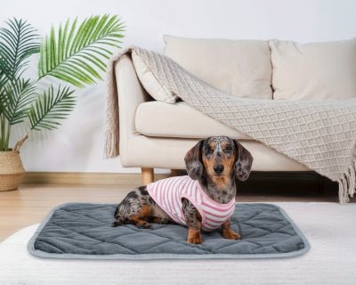 Tapis pour chien - Tapis pour chien - Duveteux | Confort thermique - Vivre avec son chien