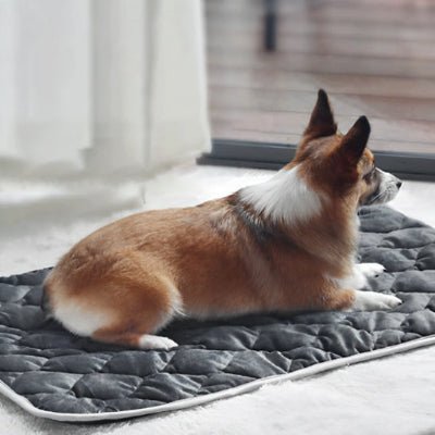 Tapis pour chien - Tapis pour chien - Duveteux | Confort thermique - Vivre avec son chien