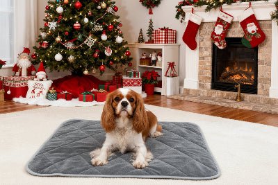 Tapis pour chien - Tapis pour chien - Duveteux | Confort thermique - Vivre avec son chien
