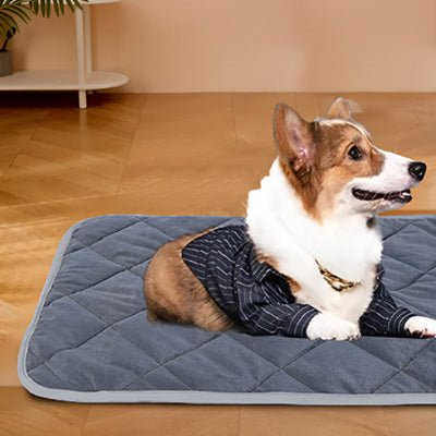 Tapis pour chien - Tapis pour chien - Duveteux | Confort thermique - Vivre avec son chien
