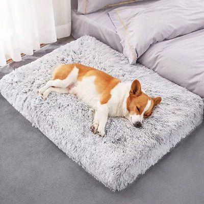 Tapis pour chien - Tapis pour chien | Le Duveteux | confort chaud - Vivre avec son chien