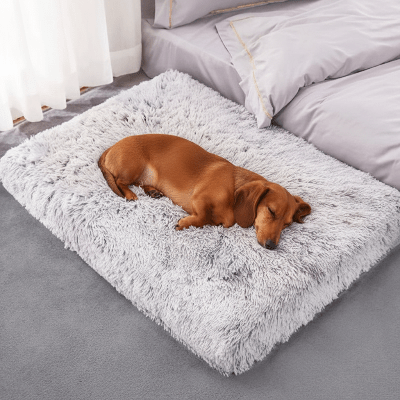 Tapis pour chien - Tapis pour chien - Le Soutien Plus | Confort épais - Vivre avec son chien