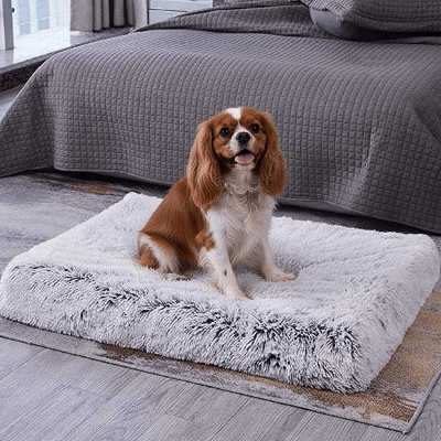 Tapis pour chien - Tapis pour chien - Le Soutien Plus | Confort épais - Vivre avec son chien