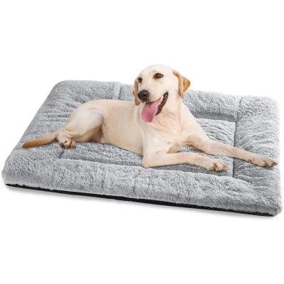 Tapis pour chien - Moelleux - Vivre avec son chien
