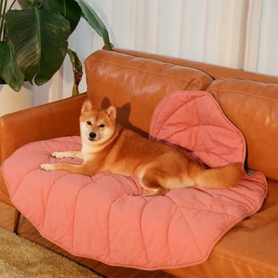 tapis chien - Tapis pour chien - Moelleux | Douillet et design naturel - Vivre avec son chien