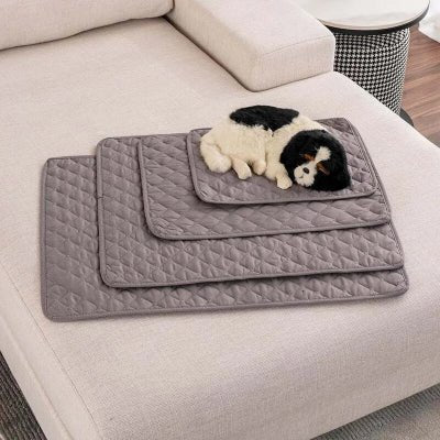 Tapis pour chien - Tapis pour Chien - Nuage Protect | Lavable et Absorbant - Vivre avec son chien