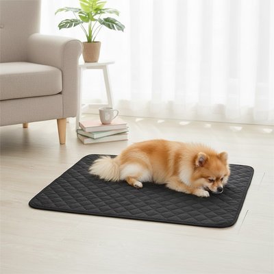 Tapis pour chien - Tapis pour Chien - Nuage Protect | Lavable et Absorbant - Vivre avec son chien