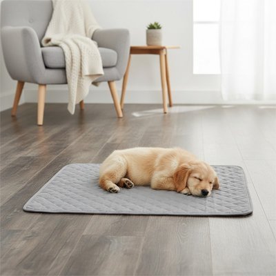 Tapis pour chien - Tapis pour Chien - Nuage Protect | Lavable et Absorbant - Vivre avec son chien
