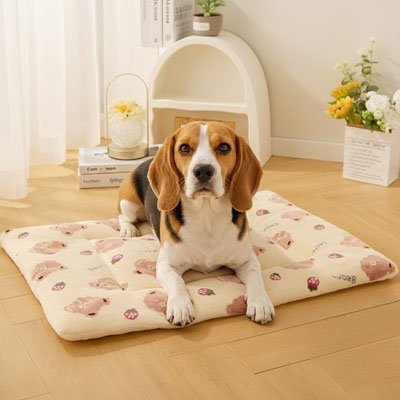 Tapis pour chien - Tapis pour Chien - Peluchon | Ultra - Confortable Lavable - Vivre avec son chien