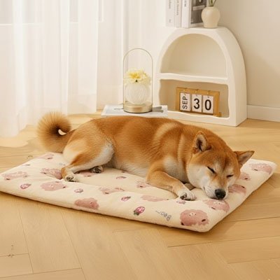 Tapis pour chien - Tapis pour Chien - Peluchon | Ultra - Confortable Lavable - Vivre avec son chien