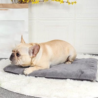 Tapis pour chien - Tapis pour chien - Réconfort | Moelleux et chaud - Vivre avec son chien